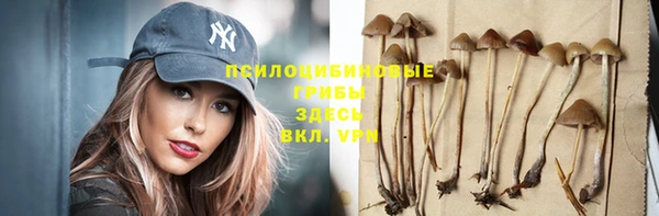 jwh Сосновка