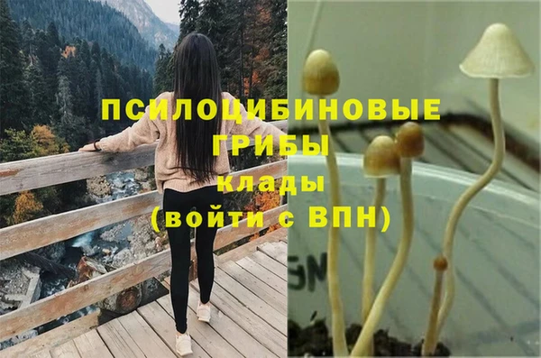 бутират Сосновый Бор