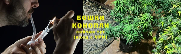 бутират Сосновый Бор