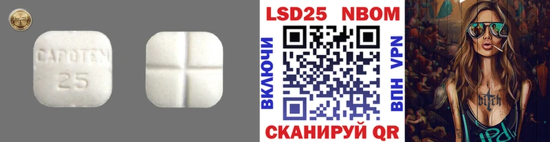 как найти наркотики  kraken   ЛСД экстази ecstasy  Холм 