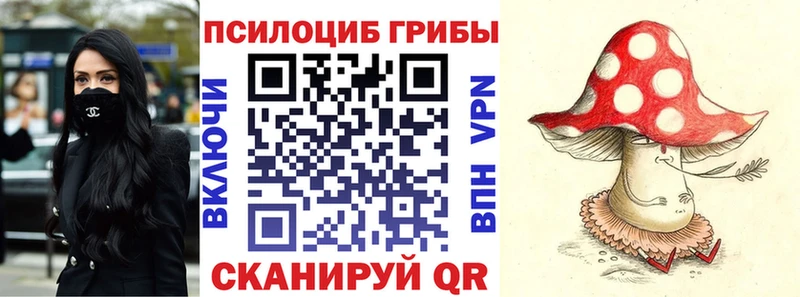 Галлюциногенные грибы Psilocybine cubensis  Холм 